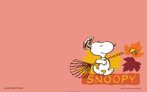 Snoopy Gives His Room Some Autumn Love snoopy wallpaper