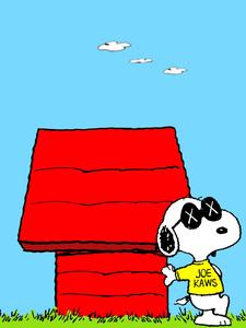 Snoopy Living the Good Life snoopy wallpaper