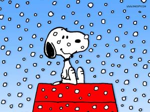 Snoopy: Loyal companion and best friend to Charlie Brown. snoopy wallpaper
