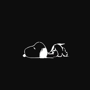 Snoopy the faithful little companion snoopy wallpaper