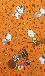 Snoopy the Happy Beagle snoopy wallpaper