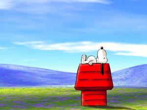 Snoopy, the signature character of Peanuts comic strip snoopy wallpaper