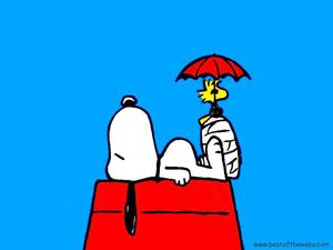 Snoozing Together snoopy wallpaper