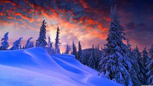 Snowy Hill In Winter winter wallpaper
