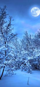 Snowy Nature 4K iPhone 4k nature iphone wallpaper