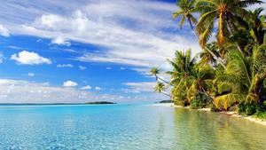 Soak in the Sunset on a Serene Tropical Beach beach wallpaper