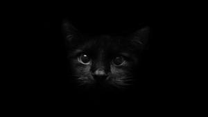 Soft and Stylish Black Aesthetic cute black wallpaper