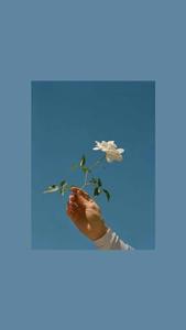 Soft Blue Aesthetic blue aesthetic wallpaper