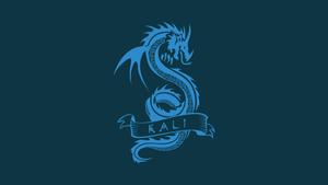 Solarized Dragon Kali Linux HD linux wallpaper