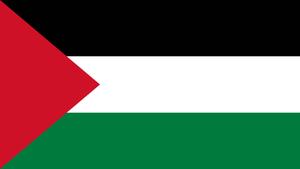Solid Colors Of Palestine Flag palestine wallpaper