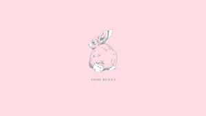 Some Bunny Loves You Pastel Aesthetic pastel aesthetic wallpaper