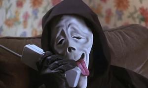Sometimes, a picture is just worth a thousand laughs! funny wallpaper