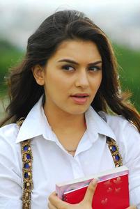 South Heroine Hansika Motwani south heroine wallpaper