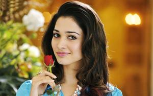South Heroine Tamannaah Rose south heroine wallpaper