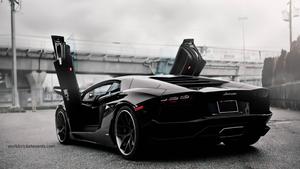 Speed and Style: The Black Lamborghini Aventador lamborghini wallpaper