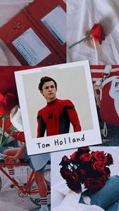 Spider Man Aesthetic In Polaroid spider man aesthetic wallpaper
