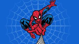 Spider Man background spider man wallpaper