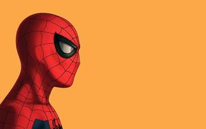 Spider Man background spider man wallpaper