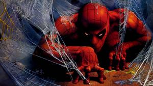 Spider Man Crawling With His Webs spider man wallpaper