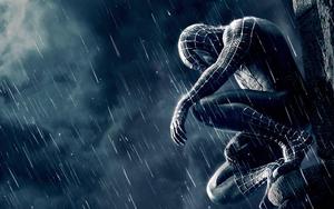 Spider Man In The Rain spider man wallpaper