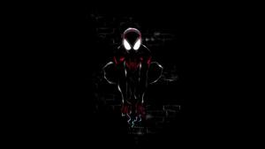 spider man into the spider verse wallpaper dark wallpaper