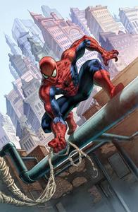 Spider Man pictures spider man wallpaper