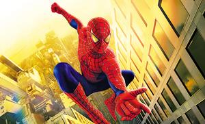 Spider Man pictures spider man wallpaper