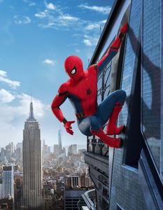 Spider Man pictures spider man wallpaper