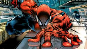 Spider Man pictures spider man wallpaper