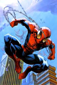 Spider Man pictures spider man wallpaper