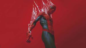 Spider Man pictures spider man wallpaper