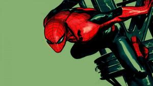 Spider Man pictures spider man wallpaper