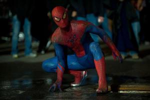 Spider Man pictures spider man wallpaper