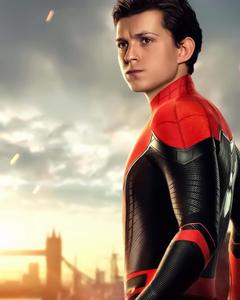 Spider Man pictures spider man wallpaper