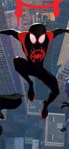 Spiderman iPhone 11 iphone 11 wallpaper
