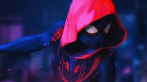 Spidey-Noir, Miles Morales miles morales wallpaper