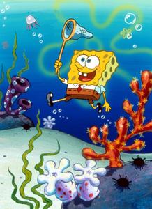 SpongeBob Squarepants Jellyfish Fields Picture spongebob wallpaper