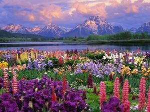 Spring Desktop background spring desktop wallpaper