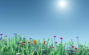 Spring Desktop background spring desktop wallpaper