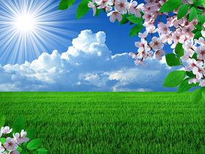 Spring Desktop background spring desktop wallpaper