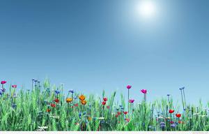 Spring Flowers spring wallpaper