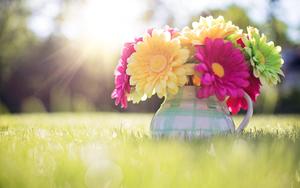 Spring Flowers In Vase spring wallpaper