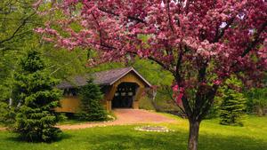Spring Season Bridge spring wallpaper