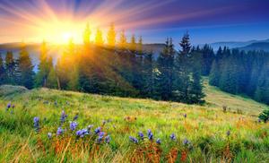 Spring Season Sunrise spring wallpaper
