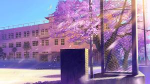 Springtime Brings Color and Life animated wallpaper