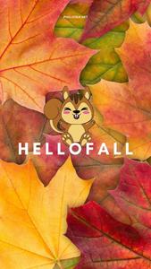 Squirrel Hello Fall IPhone fall iphone wallpaper