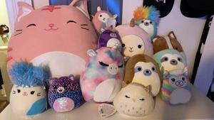 Squishmallows Toys Collection On Table squishmallows wallpaper