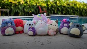 Squishmallows Toys Near Pool squishmallows wallpaper