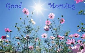 Start the day the right way with Good Morning! good morning wallpaper