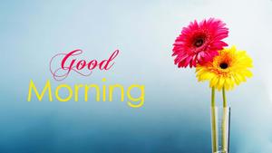 Start your day off with a smile good morning wallpaper